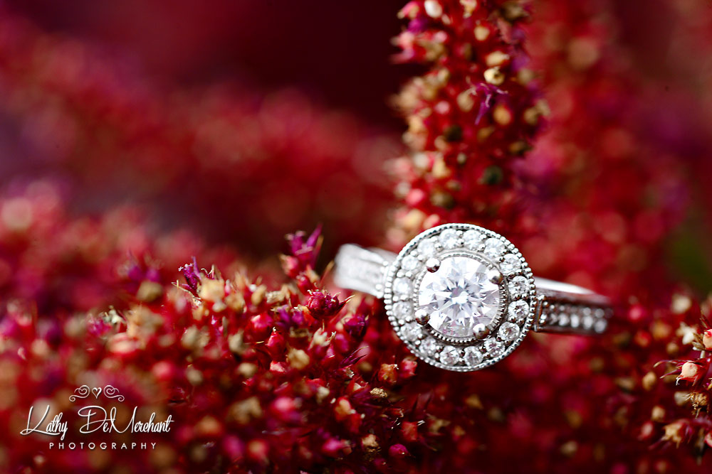 Mariana & Richard | Engaged | Hamilton Wedding Photographer | Royal Botanical Gardens Engagement Photography