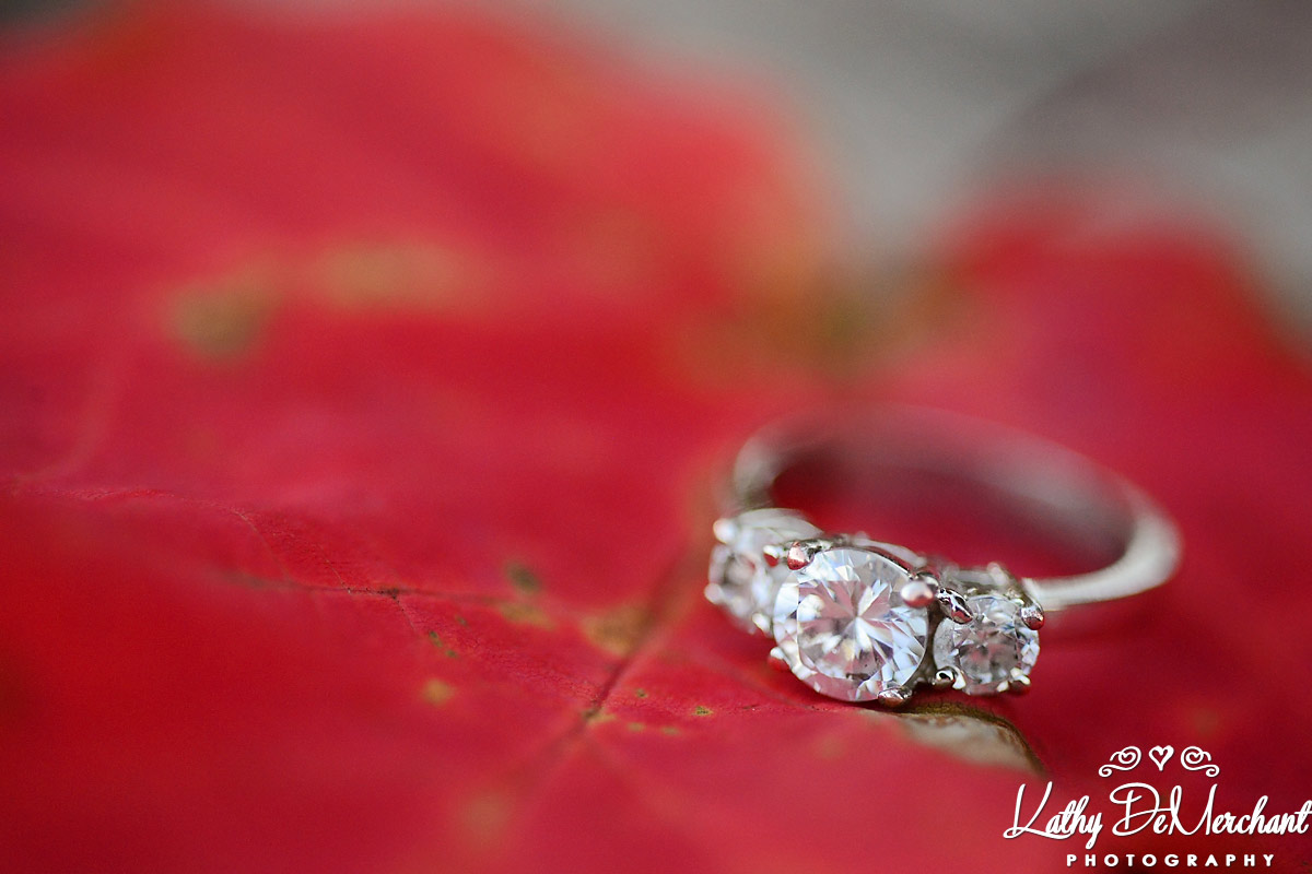 Zee & Brent | Burlington Lowville Park Engagement Photography | Burlington Wedding Photographer