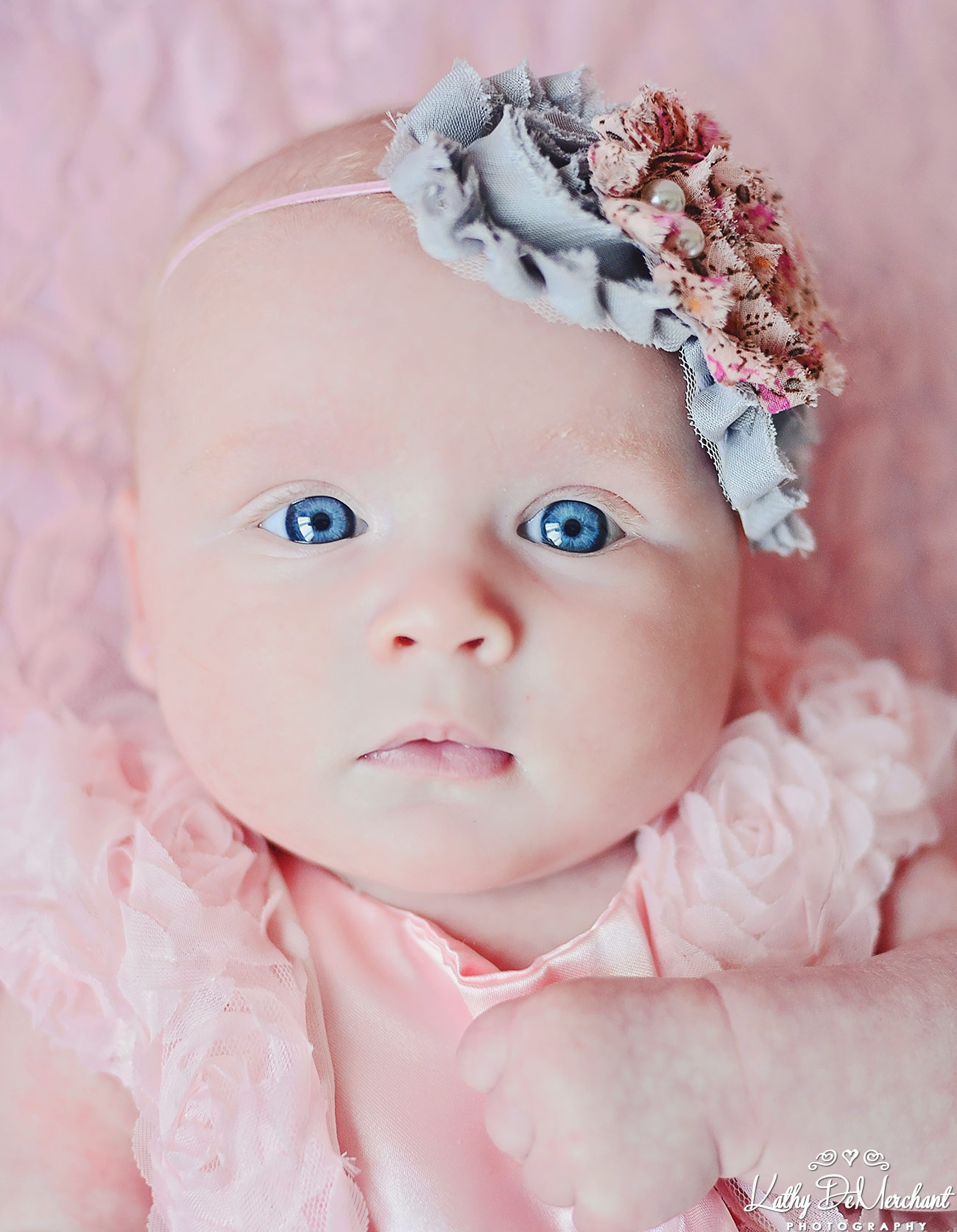 Nixen – 10 weeks old | Hamilton Baby Photographer | Hamilton Child Photography