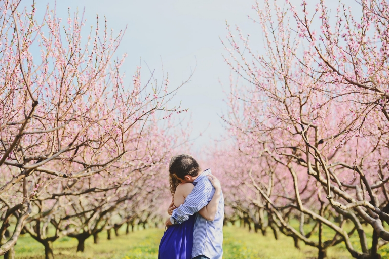 Stephanie & Dan | Niagara Engagement Photographer | Cherry Blossoms Engagement Photography